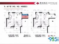 首创芭蕾雨A户型