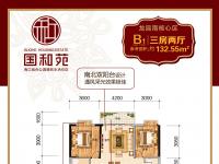 国和苑B1户型  三室两厅一厨两卫两阳台